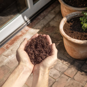 AVERGO natural sustainable coco coir mix for eco-friendly indoor gardening