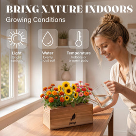 AVERGO soil discs: ready-to-use planting medium for germination