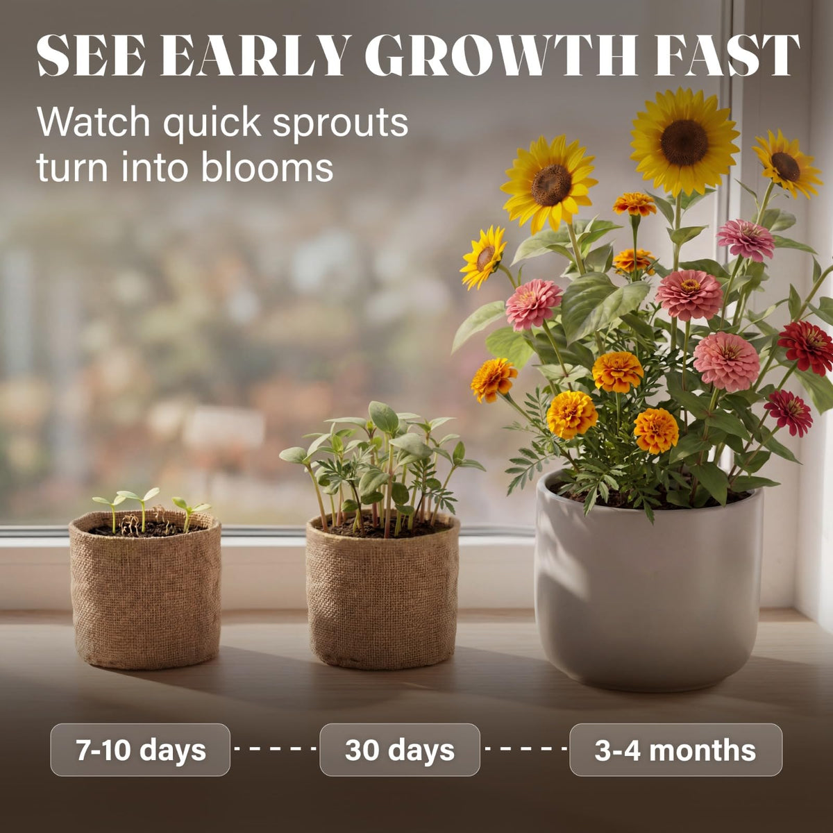 AVERGO starter pots: convenient containers for seedling growth