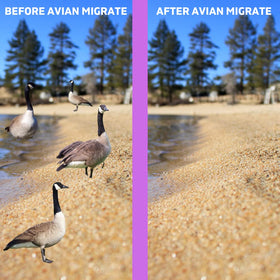 AVIAN MIGRATE EPA-tested formula demonstrates reliable deterrence