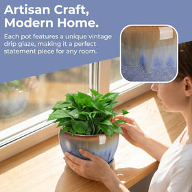 AVLA perfect starter pots for succulents, herbs, cacti and orchids.