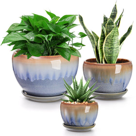 AVLA 3-pack ceramic planters front view, ideal for small succulents and herbs.