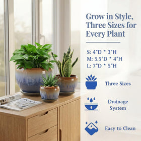 AVLA packaging-ready gift set for plant lovers and home decorators.