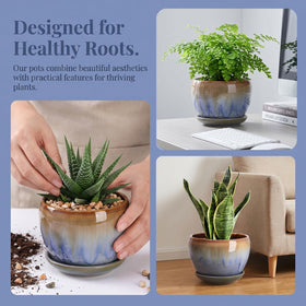 AVLA planters on windowsill arrangement demonstrating home decor versatility.