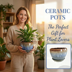 AVLA planters with attached saucer catching excess water for neat use.