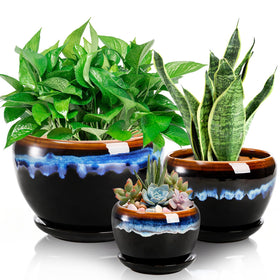 AVLA ceramic flower pots trio front view for stylish indoor gardening