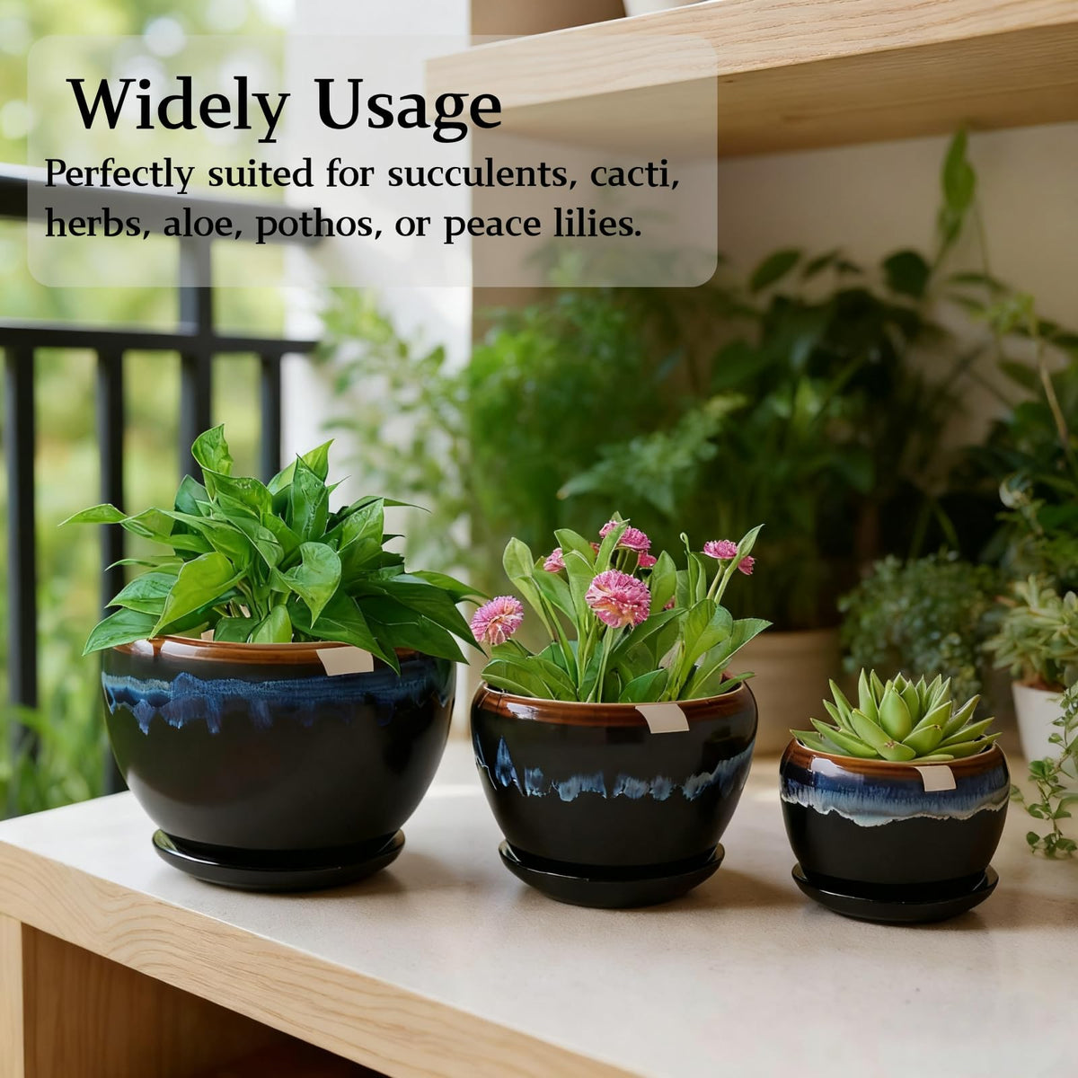 AVLA size large pot suitable for orchids