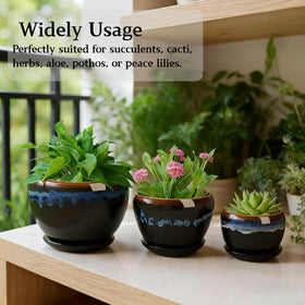 AVLA size large pot suitable for orchids