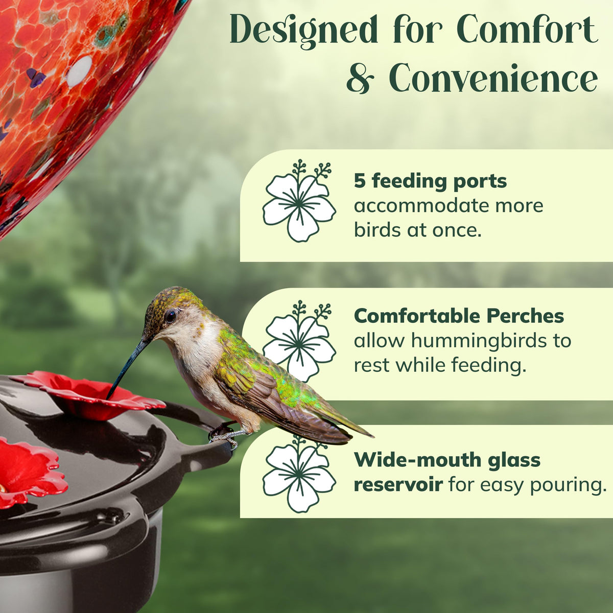 Awa Nest wide-mouth glass feeder for easy filling and cleaning