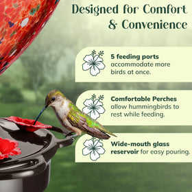 Awa Nest wide-mouth glass feeder for easy filling and cleaning