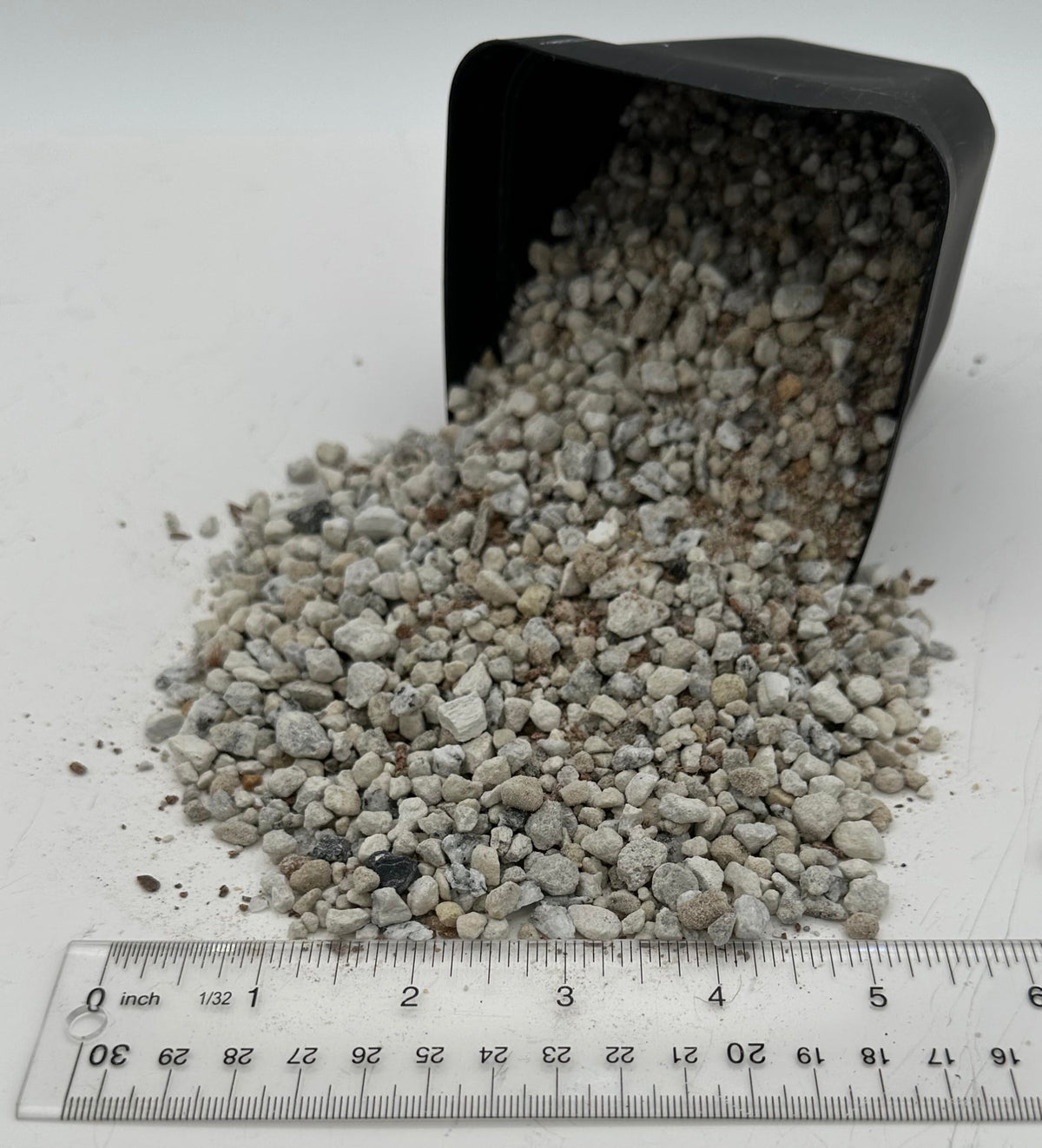 Awesome Industries arid-environment lithops care with fast-drying substrate