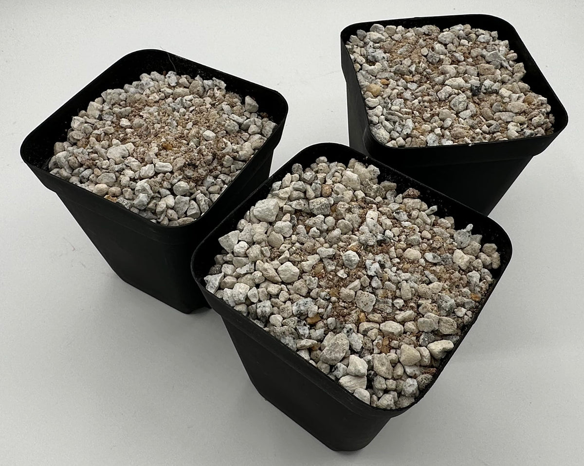 Awesome Industries aggregate mix emphasizes rapid anchoring and root development