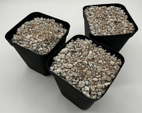 Awesome Industries aggregate mix emphasizes rapid anchoring and root development