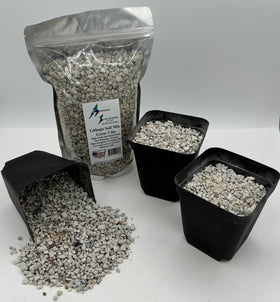 Awesome Industries Lithops Soil Mix Grow Mix 2 Quarts promotes fast drainage and healthy rooting