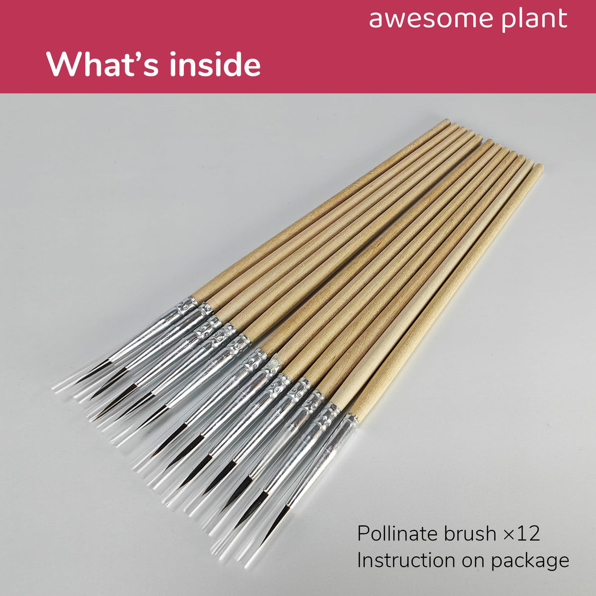 Awesome Plant pollination brush storage case—keeps tools clean and organized
