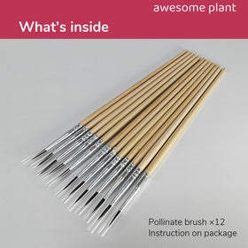 Awesome Plant pollination brush storage case—keeps tools clean and organized