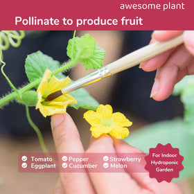 Awesome Plant pollination brush tomatoes—promotes even bloom fertilization for fruit set