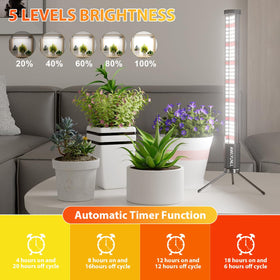 AWLYLNLL grow light demonstrates side illumination for compact seedling setups.