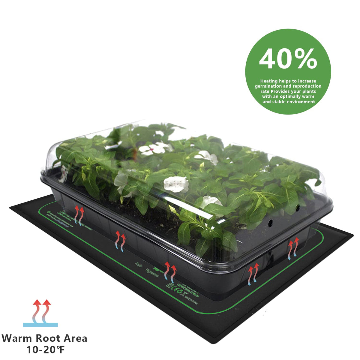AWLYLNLL plant heater compact design highlights space-saving warmth for rooted cuttings.