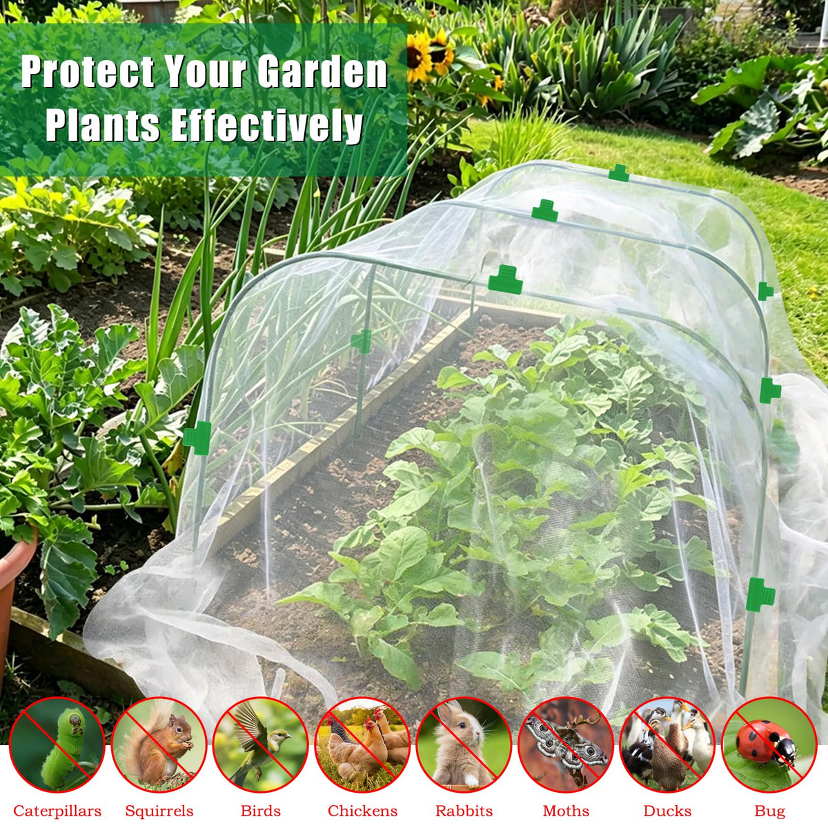 Axcoix blueberry netting cover protects fruit without shading plants.