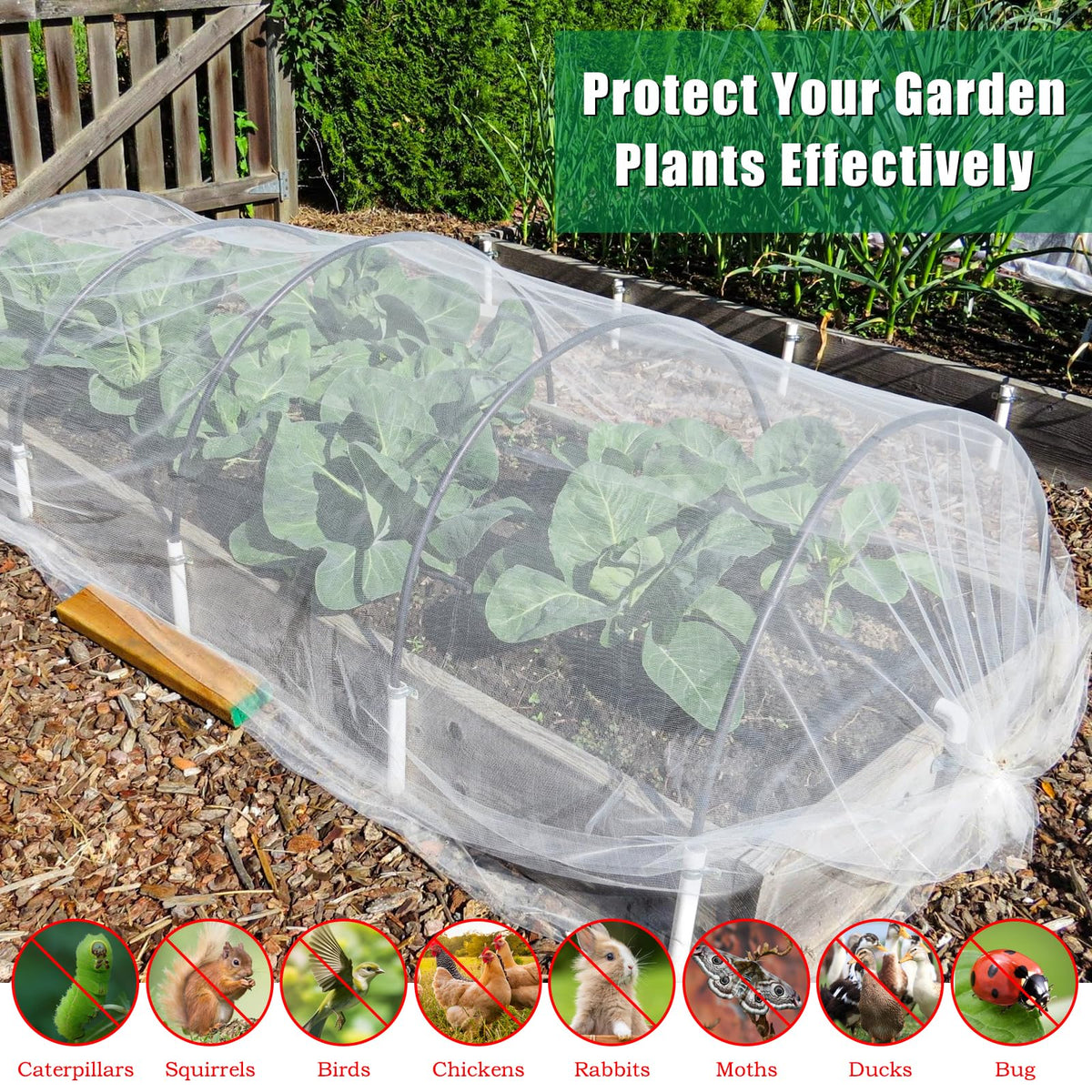 Axcoix protects tomatoes, strawberries, and blueberries from birds and insects.