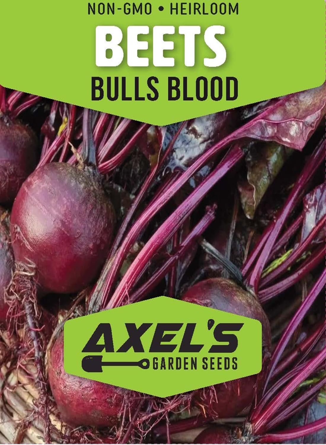 Axel's Garden Seeds Bulls Blood beet roots harvest, sweet roots ready for roasting or pickling.