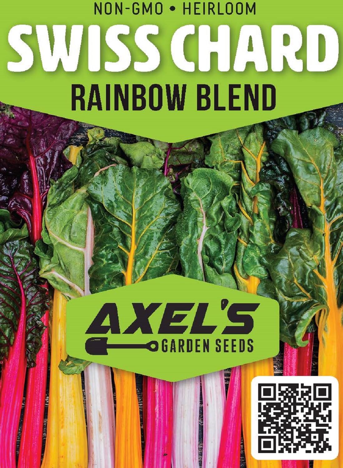 Colorful chard leaves emerge for a vibrant kitchen garden.