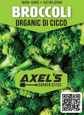 Axel's Garden Seeds Di Cicco broccoli seeds ready to plant in organic home gardens