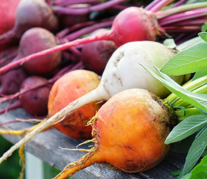 Axel's Garden Seeds rainbow beet seed packet for a colorful home harvest