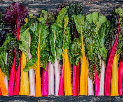 Axel's Garden Seeds Rainbow Swiss Chard seed packet for easy home planting.