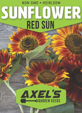 Axel's Garden Seeds red sunflowers seed packet ready for direct sowing at home