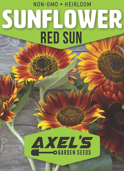Axel's Garden Seeds red sunflowers seed packet ready for direct sowing at home
