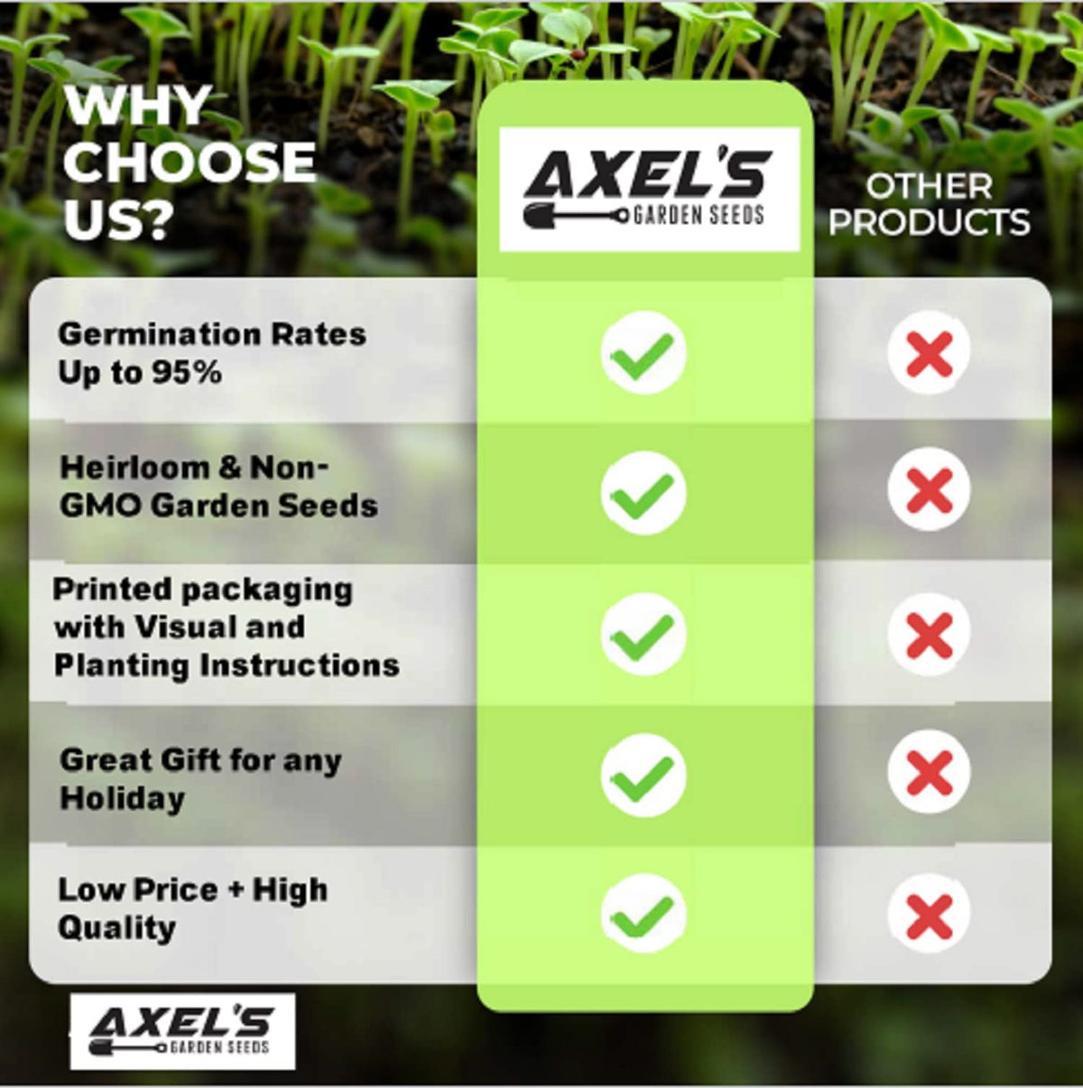 Zone-6 and up suitability supports year-round gardening.