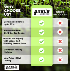 Zone-6 and up suitability supports year-round gardening.
