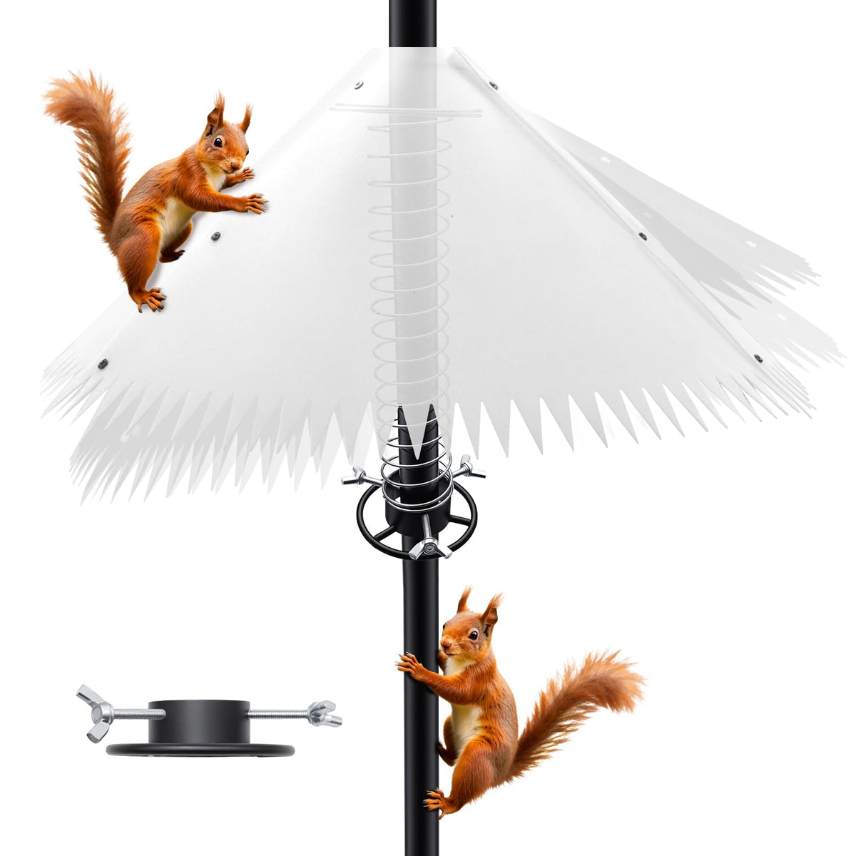 Aynaxcol Squirrel Baffle with a 19-inch barrier protects a feeder.