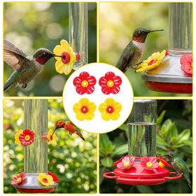 Aysatogc outdoor hanging feeder kit for a colorful backyard nectar station.