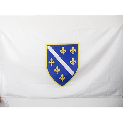 AZ FLAG Bosnia and Herzegovina 1992-1998 flag, 3x5, for pole sleeve and indoor display