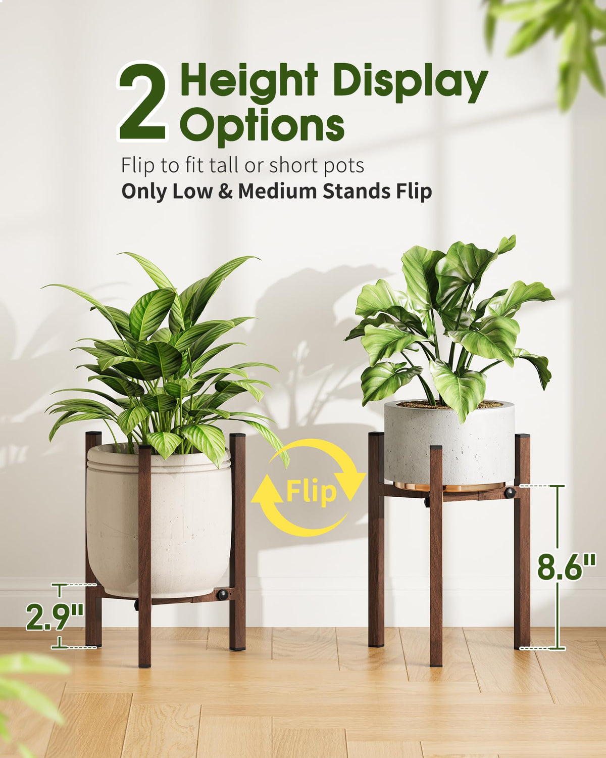 AZADESJET low reversible stand supports compact plants in corner spaces.