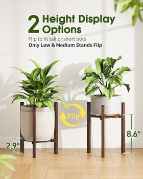 AZADESJET low reversible stand supports compact plants in corner spaces.