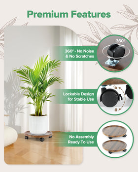 AZADESJET raised-tray design prevents drips and pot slips during movement