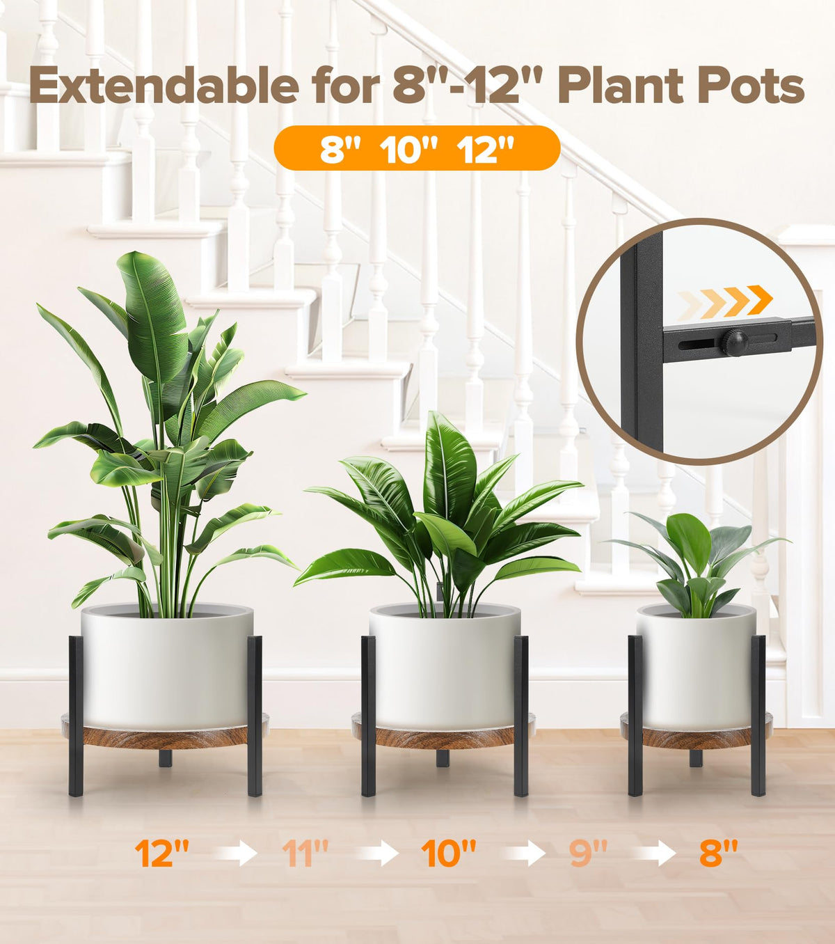 AZADESJET two-height-adjustment offers optimal light exposure and layered display options.