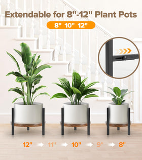 AZADESJET two-height-adjustment offers optimal light exposure and layered display options.