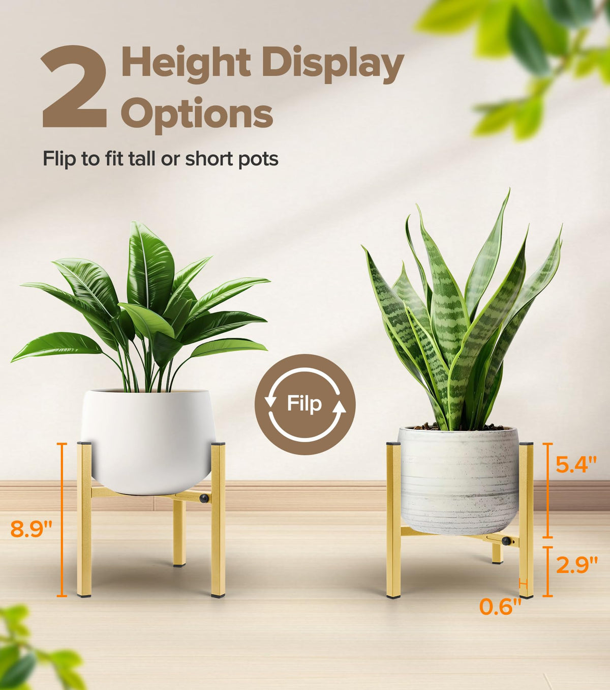 Two-height display on the AZADESJET stand raises plants for sunlight and layering.