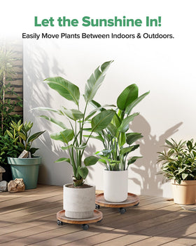 AZADESJET 2-pack convenient set for multiple plants with quick repositioning