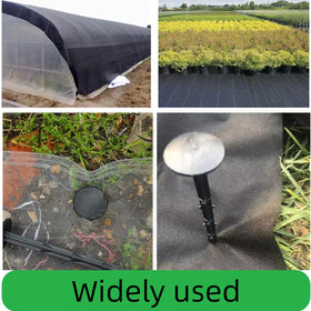 Azipehkx year-round stakes support landscapes and outdoor setups.