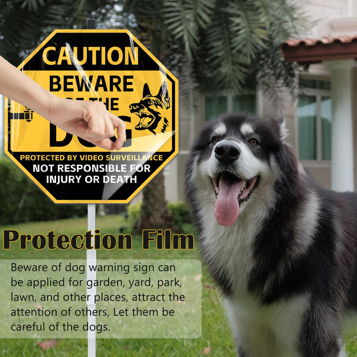 AzReference beware of dog sign visible at dusk with luminous finish.