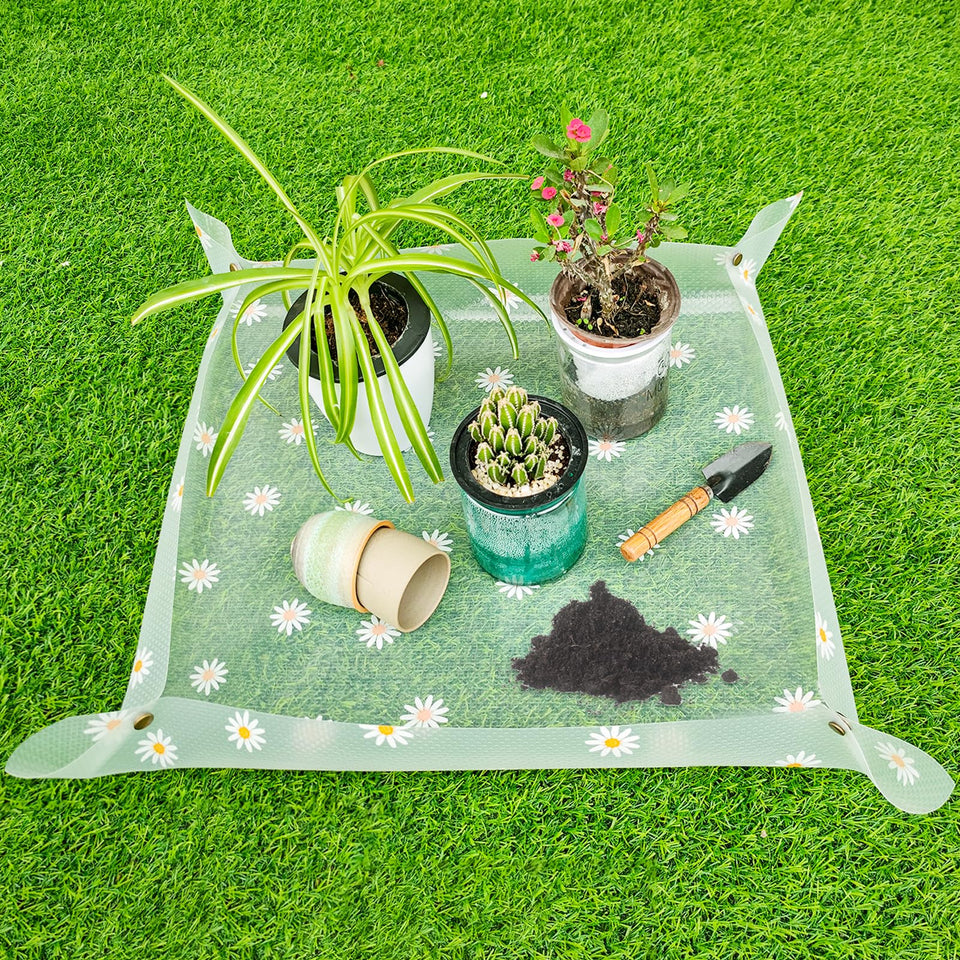 Azureblue repotting mat with clear surface keeps soil contained during potting.