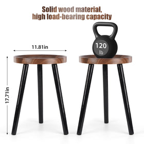 B Bamberg tall planter stand with elevated display for easy viewing.