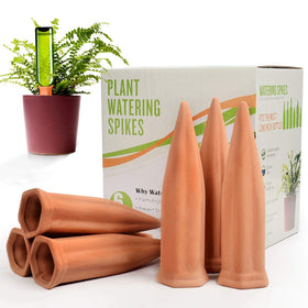 B SEPOR ceramic waterer 6-pack in box for simple vacation plant care.