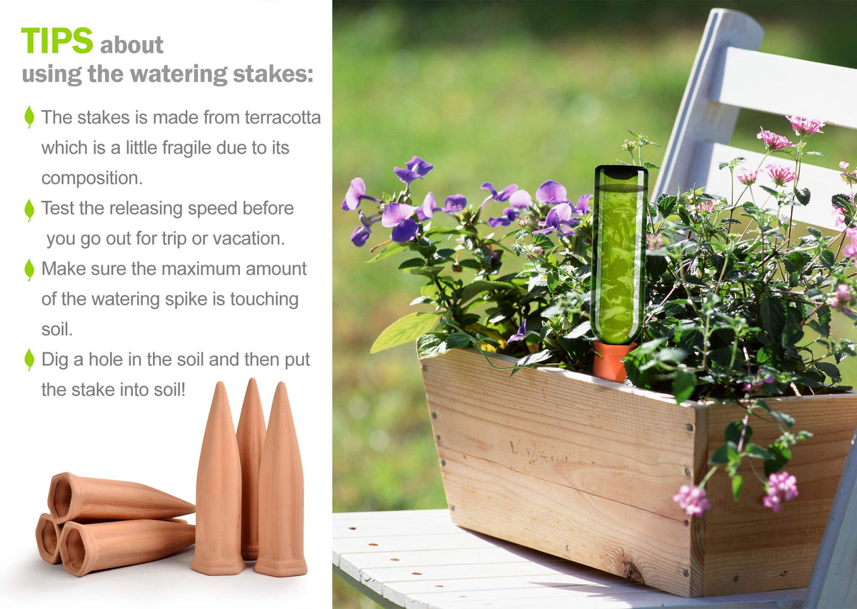 B SEPOR indoor plant waterer in use for houseplants.